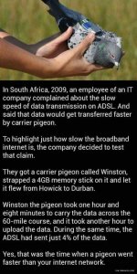 FB_IMG_1505921586381.jpg