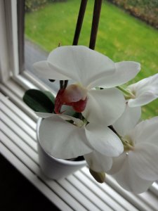 IMG_20170923_115752.jpg