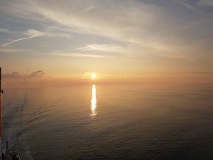 20170923_072855[1].jpg
