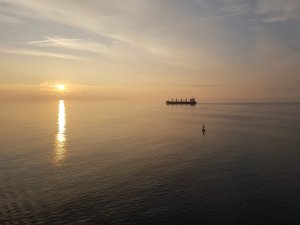 20170923_072917[1].jpg