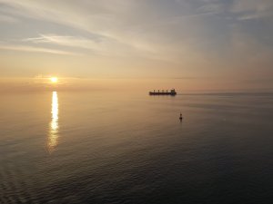 20170923_072917(0)[1].jpg