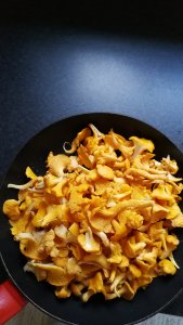IMG_20170927_091112.jpg