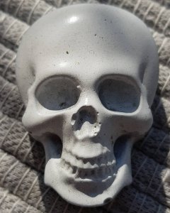 22071556_1699906053353533_1777839770160857088_n(1).jpg