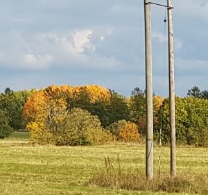field_s8plus.jpg