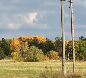 field_iphone8plus.jpg