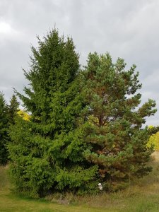 20171001_130746.jpg