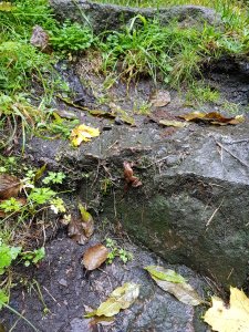 20170923_104655.jpg