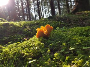 20171001_132851.jpg