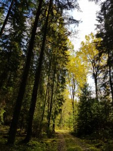 20171004_132444.jpg
