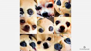 youtu.be-image (38).jpg