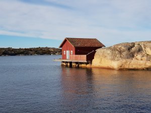 20171005_103049[1].jpg