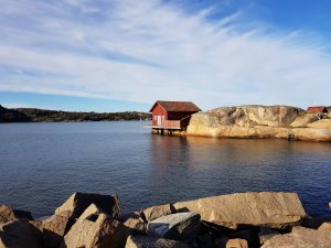20171005_103053[1].jpg