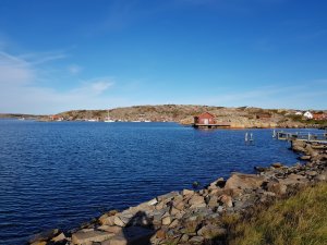 20171005_103245[1].jpg