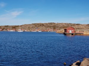 20171005_103250[1].jpg