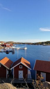 IMG_20171005_171033.jpg