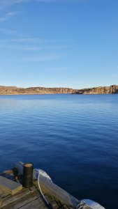 IMG_20171005_172429.jpg