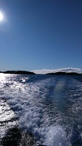 IMG_20171008_115759.jpg
