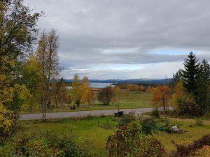 20171009_124041.jpg