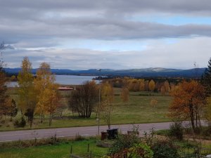 20171009_124127.jpg
