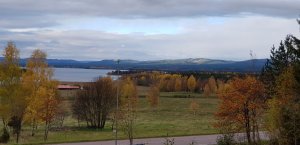 20171009_124133.jpg
