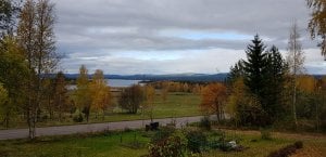 20171009_124141.jpg