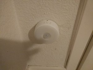 IMG_20171005_210307.jpg