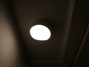 IMG_20171005_210316.jpg
