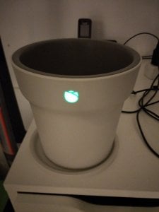 IMG_20171010_173732.jpg