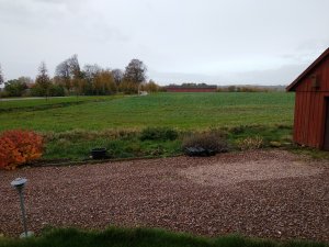 IMG_20171017_101642.jpg