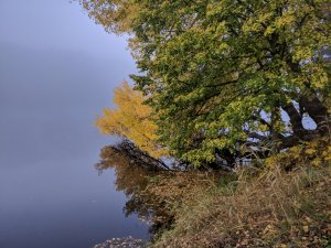 IMG_20171020_073835.jpg