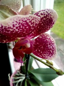 IMG_20171007_153157.jpg