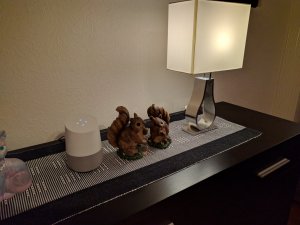 IMG_20171114_155903.jpg