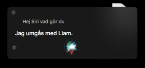 hejsiri.png