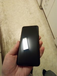 IMG_20171116_181053.jpg