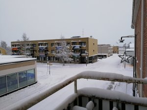 IMG_20171118_081953.jpg