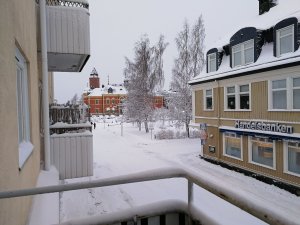 IMG_20171118_081948.jpg
