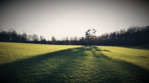 20171119_120256.jpg