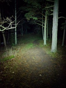 IMG_20171126_171825.jpg
