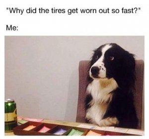 FB_IMG_1512129666764.jpg