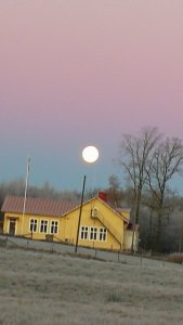 IMG_20171204_081651.jpg