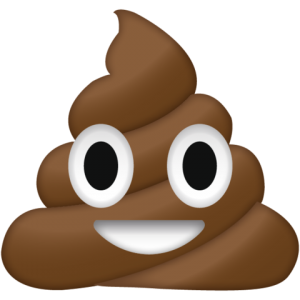 Poop_Emoji_7b204f05-eec6-4496-91b1-351acc03d2c7_large.png