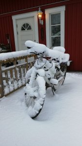 IMG_20171212_092009.jpg