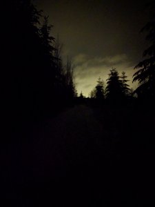 IMG_20171213_171949.jpg