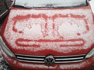 IMG_20171216_090746.jpg