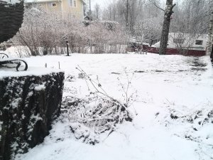 IMG_20171216_083025.jpg