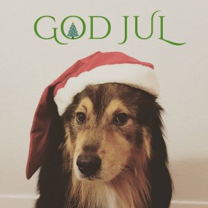 GODJUL2017.jpg
