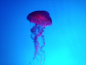 20171226_125349.jpg