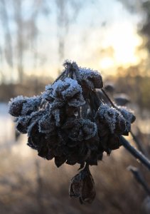 IMG_20180109_190614.jpg