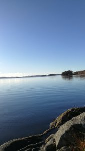 IMG_20171102_105949.jpg