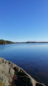 IMG_20171102_105940.jpg